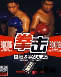 [武功秘籍]拳击基础与实战技巧.pdf