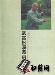 [武功秘籍]武当松溪派内家拳（王维慎）.pdf