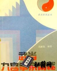 [武功秘籍]武当九宫拳宗阐秘（王炳生）.pdf