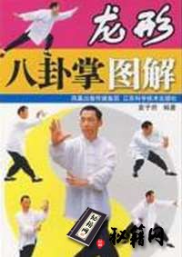 [武功秘籍]龙形八卦掌图解（袁子府）.pdf