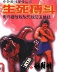 [武功秘籍][生死搏斗：街斗巷战致敌死残防卫绝技].胡铮.pdf