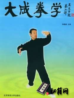 [武功秘籍]大成拳学 第2部（和振威主编）.pdf