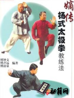 [武功秘籍][嫡传杨式太极拳教练法].傅钟文.傅声远.傅清泉.扫描版.pdf