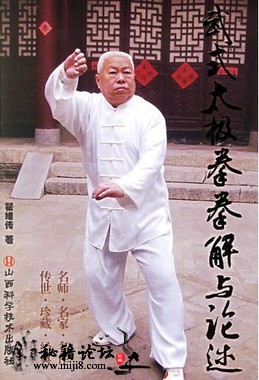 武式太极拳拳解与论述 电子书下载