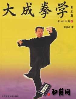 [武功秘籍]大成拳学 第3部（和振威主编）.pdf