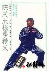 [武功秘籍]陈式太极拳精义（张茂珍）.pdf