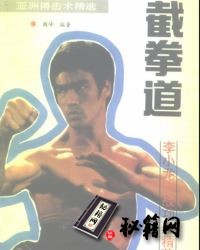 [武功秘籍]截拳道：李小龙实战功夫精粹.魏峰.pdf