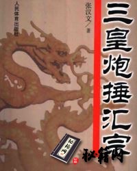 [武功秘籍]三皇炮捶汇宗（张汉文）.pdf