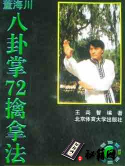 [武功秘籍]董海川擒拿72招.pdf