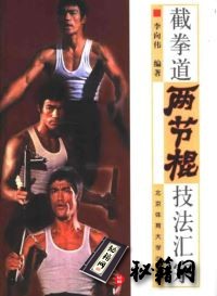 [武功秘籍]截拳道两节棍技法汇宗.李向伟.pdf