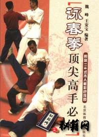 [武功秘籍]咏春拳顶尖高手必修.魏峰.pdf