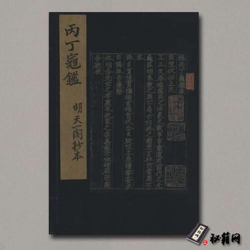 《丙丁龟鉴》