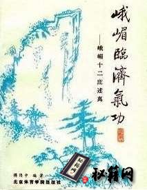[武功秘籍]峨眉临济气功——峨眉十二庄述真（傅伟中）.pdf