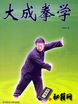[武功秘籍][大成拳学].和振威.扫描版.pdf