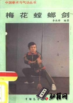[武功秘籍]梅花螳螂剑.pdf