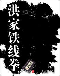 [武功秘籍]洪家铁线拳1.pdf