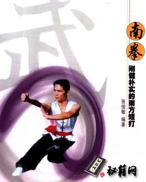 [武功秘籍]青少年武术入门丛书--南拳.pdf